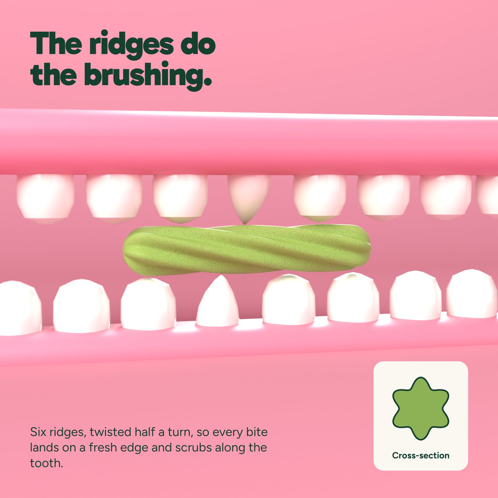 How the chew cleans teeth